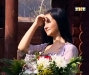 valeriya-kashubina00038